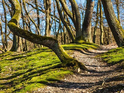 短信轰炸网页版